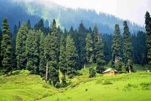 Bhaderwah Tour Package-Bhaderkashi Expedition