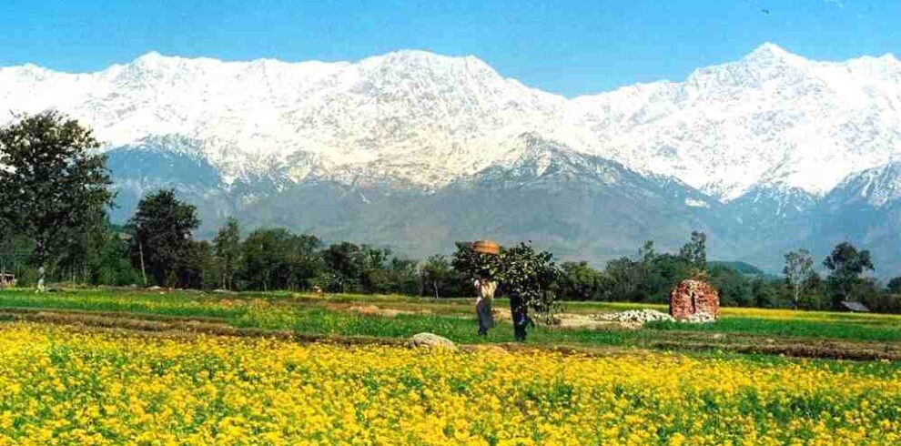Kangra, Himachal Pradesh