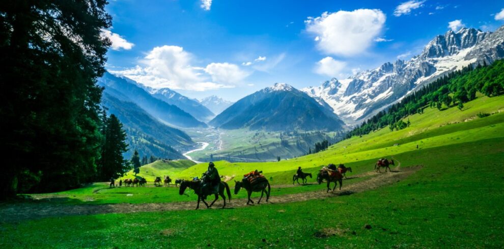 Kashmir Tour Package