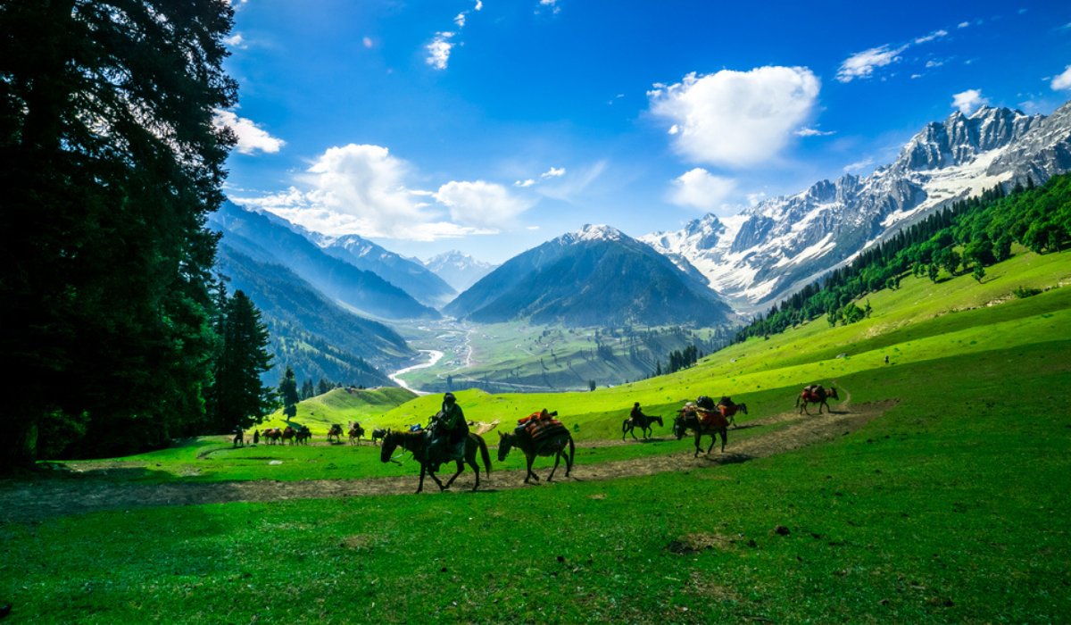 Kashmir Tour Package